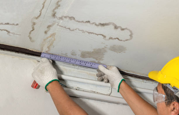 Reliable Mold Remediation contractor in Amsterdam, OH by Water Damage Irwin